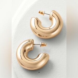 Soft surroundings Julianna hoop earring size 1.25”